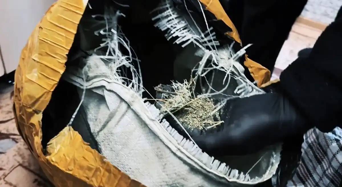 Telegram арқылы есірткі сатқандар 8 жылға бас бостандығынан айырылды