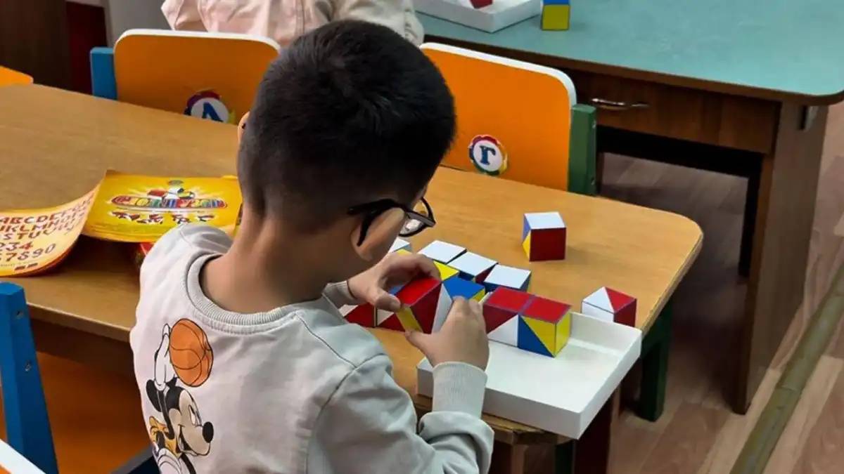 Мүмкіндігі шектеулі балаларды қолдауға арналған жаңа Заң қабылданады