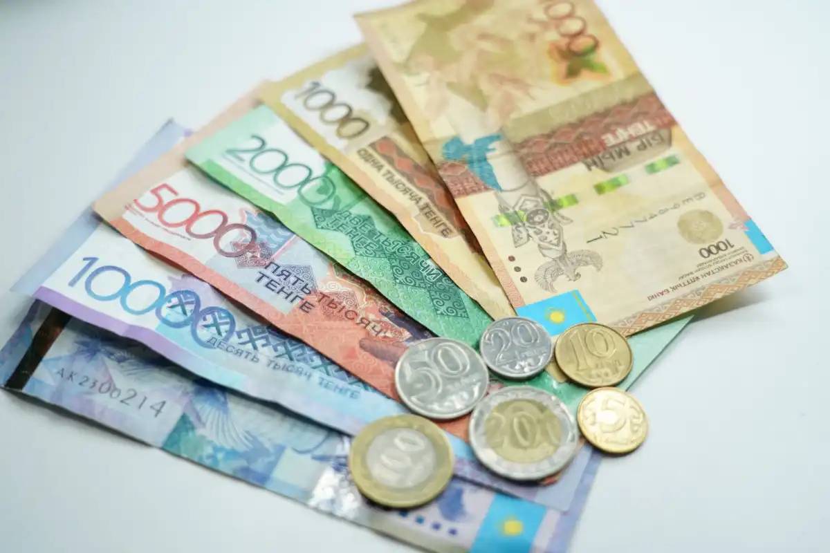 Мүгедектер мен асыраушысынан айырылғандарға 310 млрд теңге жәрдемақы төленді