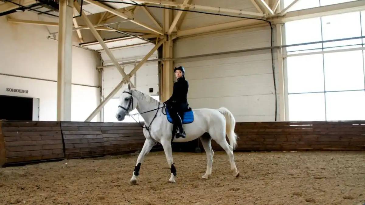 Елордалық спортшылар конкурдан халықаралық жарыста 33 медаль жеңіп алды