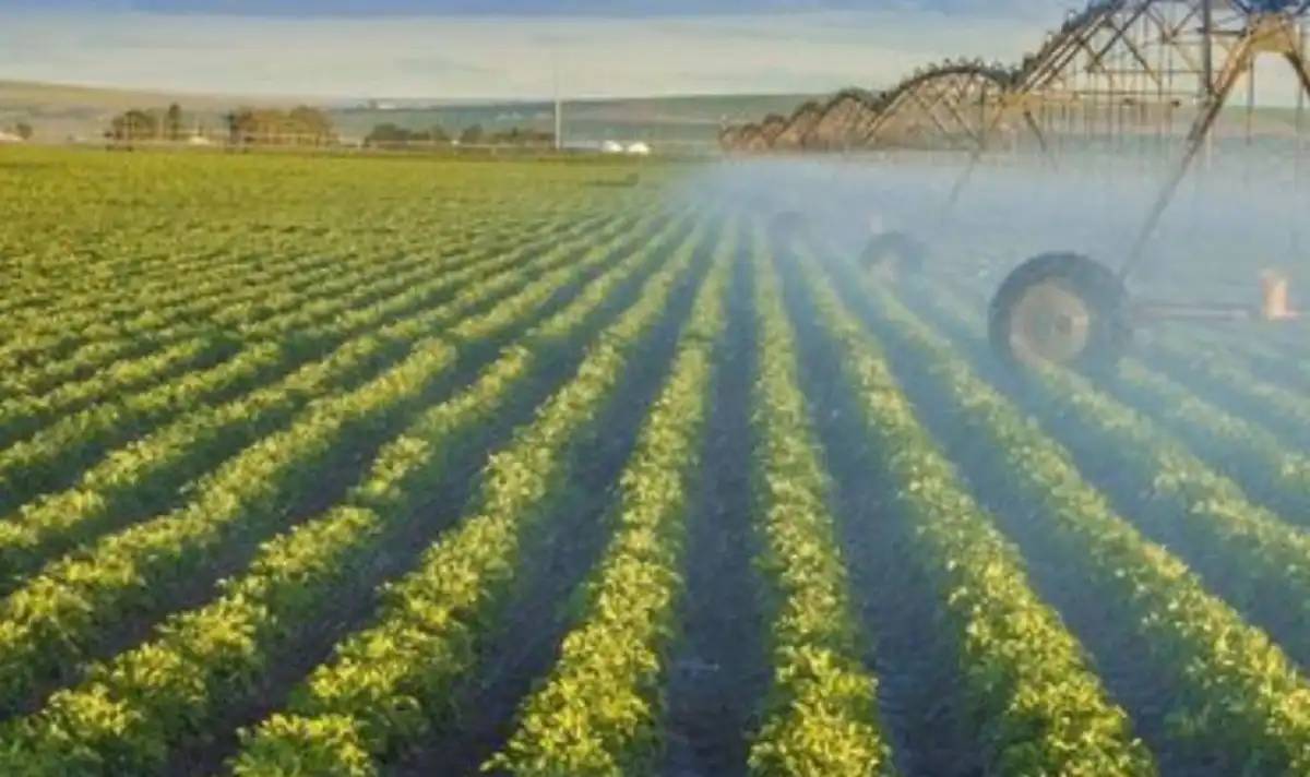 Оңтүстікте егіс алқаптарына 8,15 млрд текше метрден астам су алынды