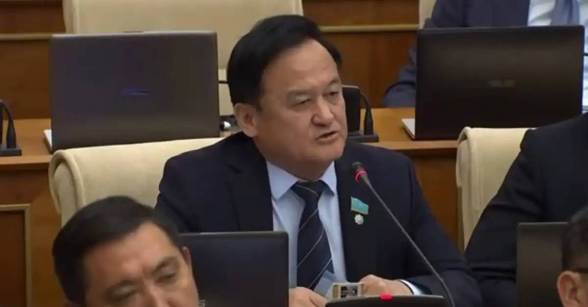 Сенат санаттан кетеді – Қазыбек Иса