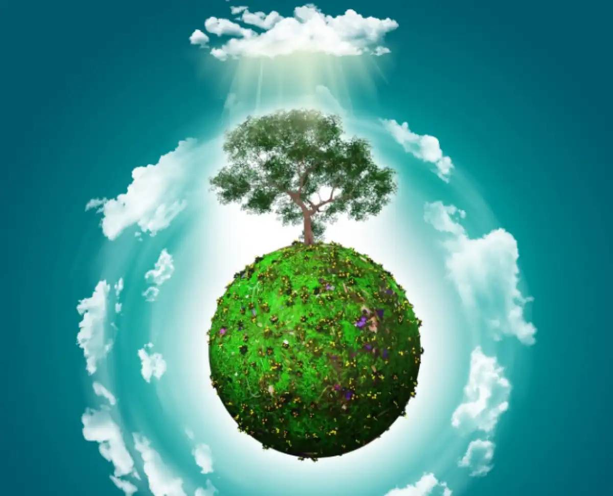 Түркістан облысында полигондардың 70%-ы экологиялық талапқа сай емес