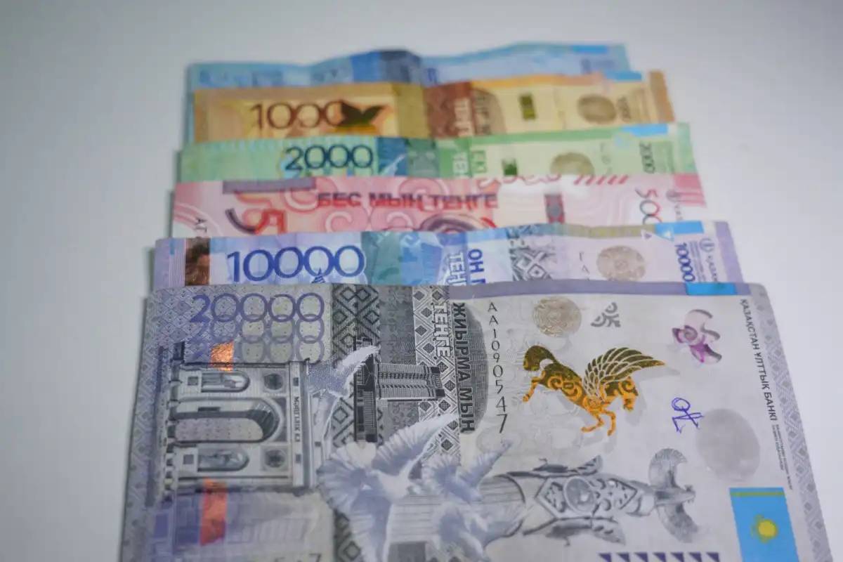 Биыл көпбалалы отбасылар 202 млрд теңге жәрдемақы алды