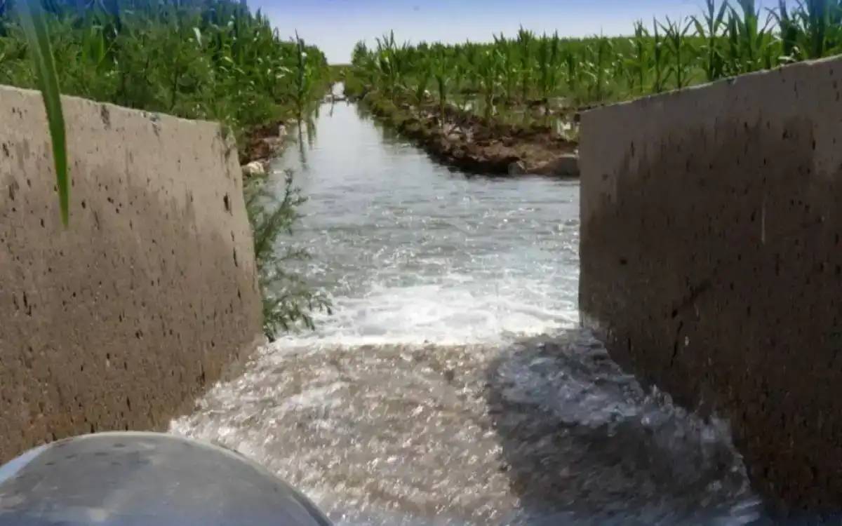 Түркістан облысы Жетісай ауданында суды пайдалану ережесін бұзған 65 дерек анықталды