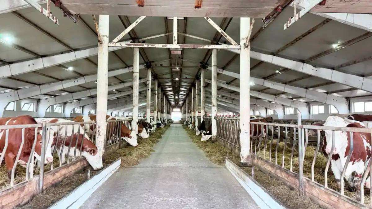 Қазақстанда шаруалар үшін жеңілдікпен несие беру іске қосылады