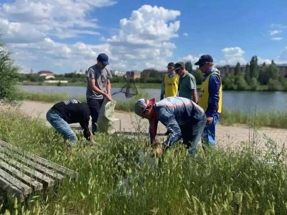 «Таза Қазақстан»: стритфишинг чемпионатының қатысушылары турнирден кейін аумақты тазалады