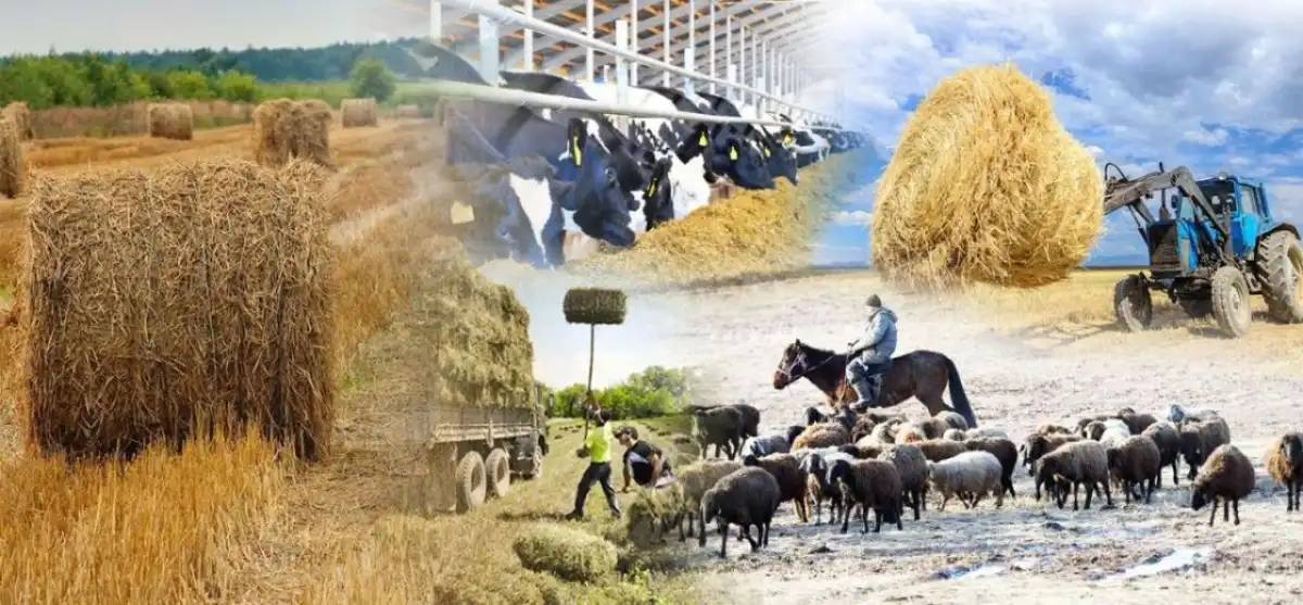 1 тамызда елімізде ұлттық ауыл шаруашылығы санағы басталады