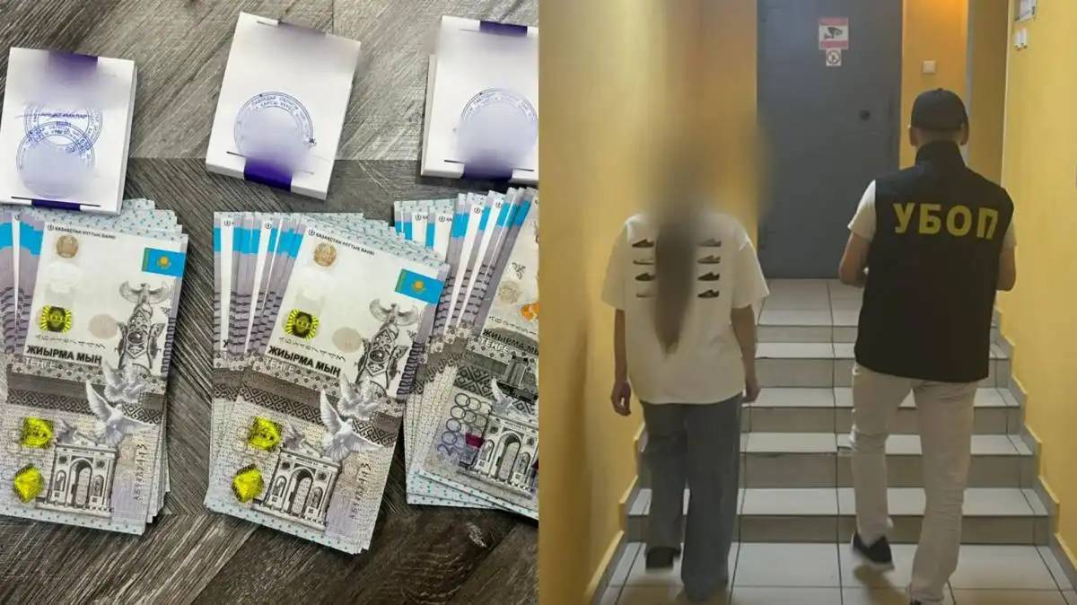 Павлодарда бүйрегін сатпақ болған шетелдік әйел ұсталды