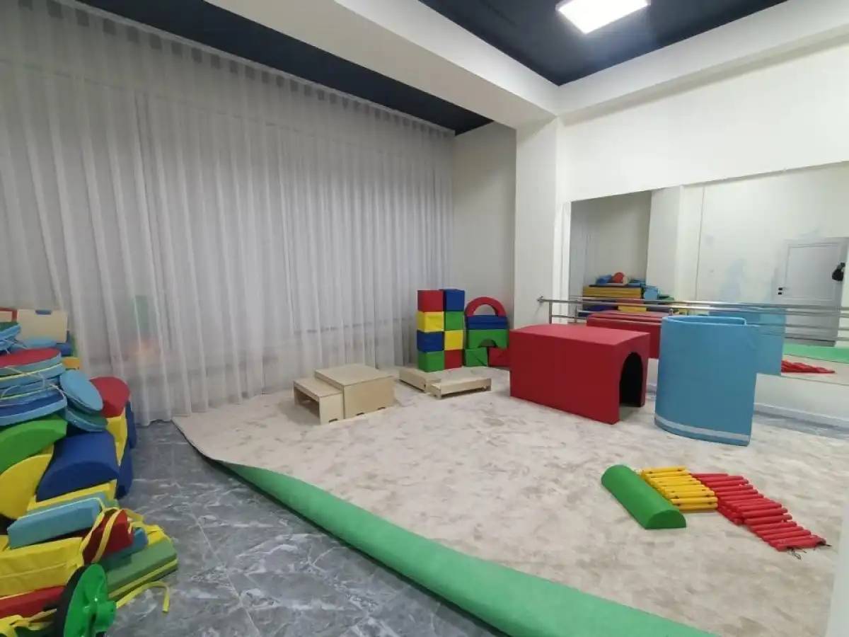 Ерекше балаларға арналған психологиялық-педагогикалық түзету орталықтарының саны артты