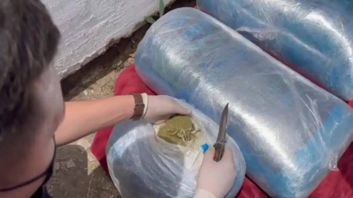 Абай облысында күдіктіден 100 келіден астам марихуана мен 7 келі гашиш тәркіленді