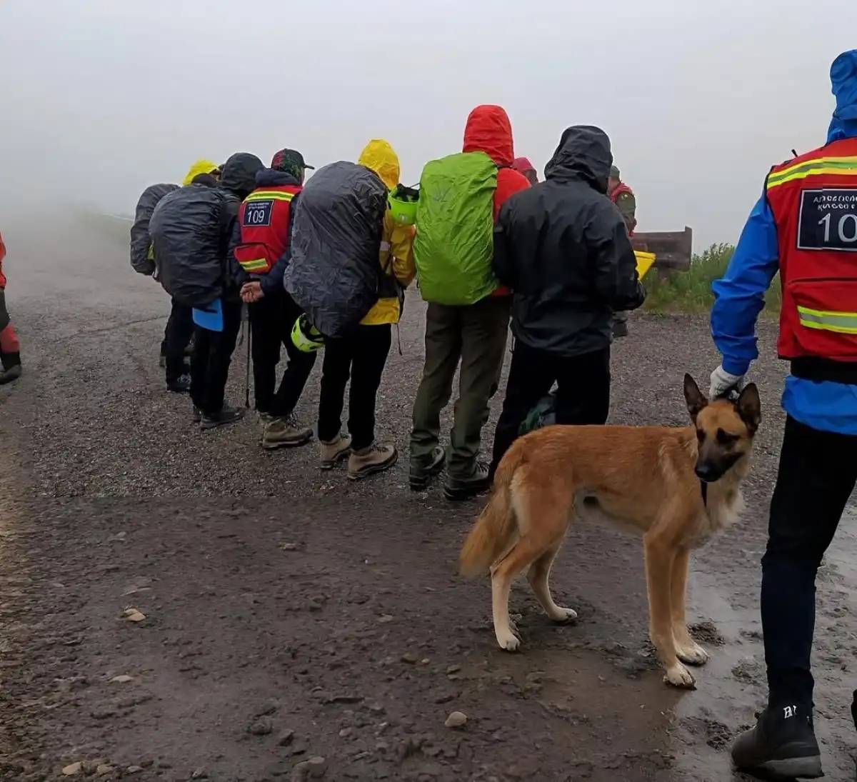 Алматы тауларында жоғалып кеткен студенттің мәйіті табылды