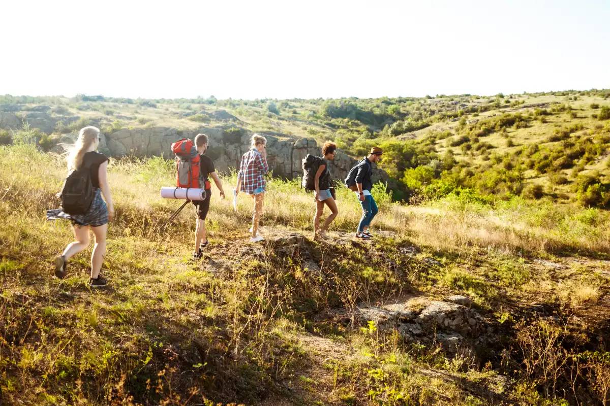 Kazakh Tourism Қатонқарағайда туризмді дамыту моделін енгізуді ұсынды