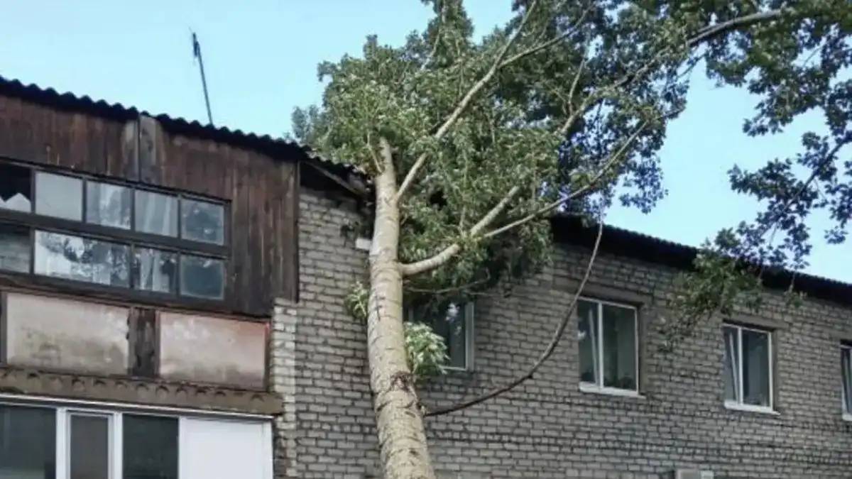 Павлодар облысында болған қатты дауыл салдарынан бір адам қайтыс болды