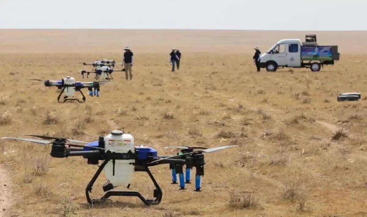 Елімізде 464 мың гектардан астам алқап шегірткеге қарсы өңделді