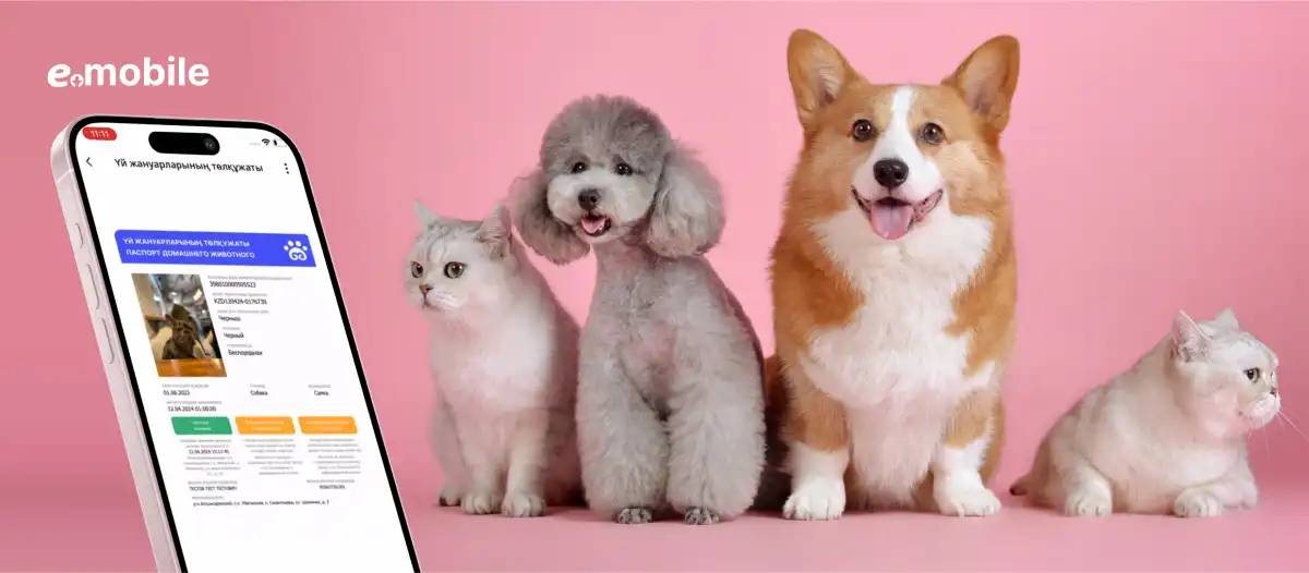 ЕGov Mobile қосымшасында тағы бір қызмет іске қосылды