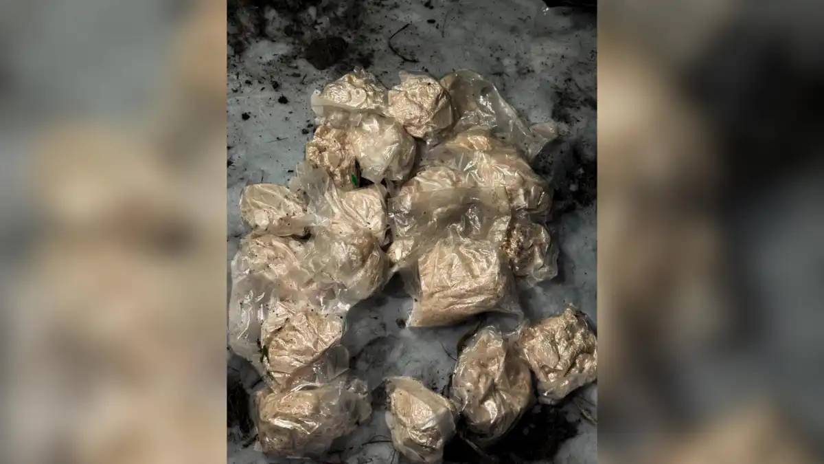 Заңсыз айналымнан 20 келі синтетикалық есірткі тәркіленді