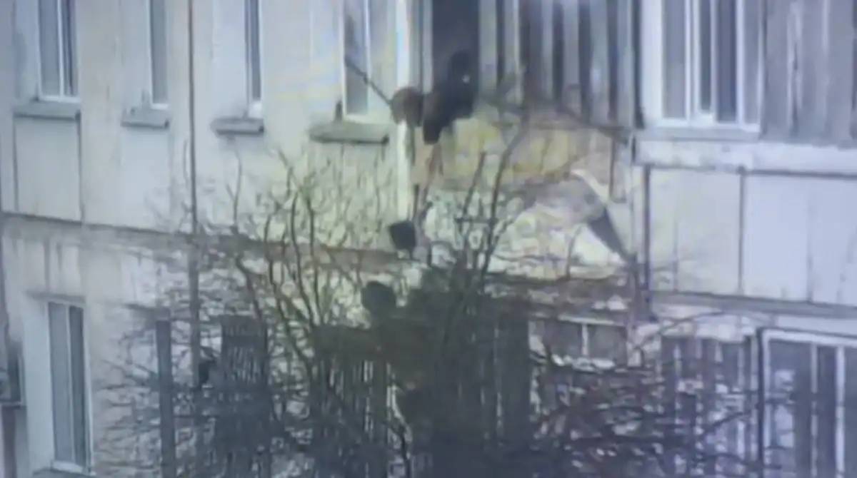 Ақмола облысында полицейлер бүтін бір отбасыны жанып жатқан пәтерден құтқарды