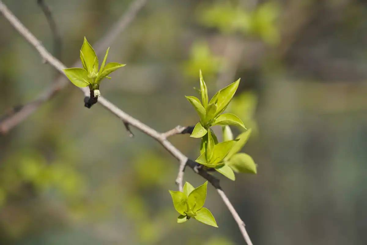 Еліміздің басым бөлігінде өрт қаупі болжанды