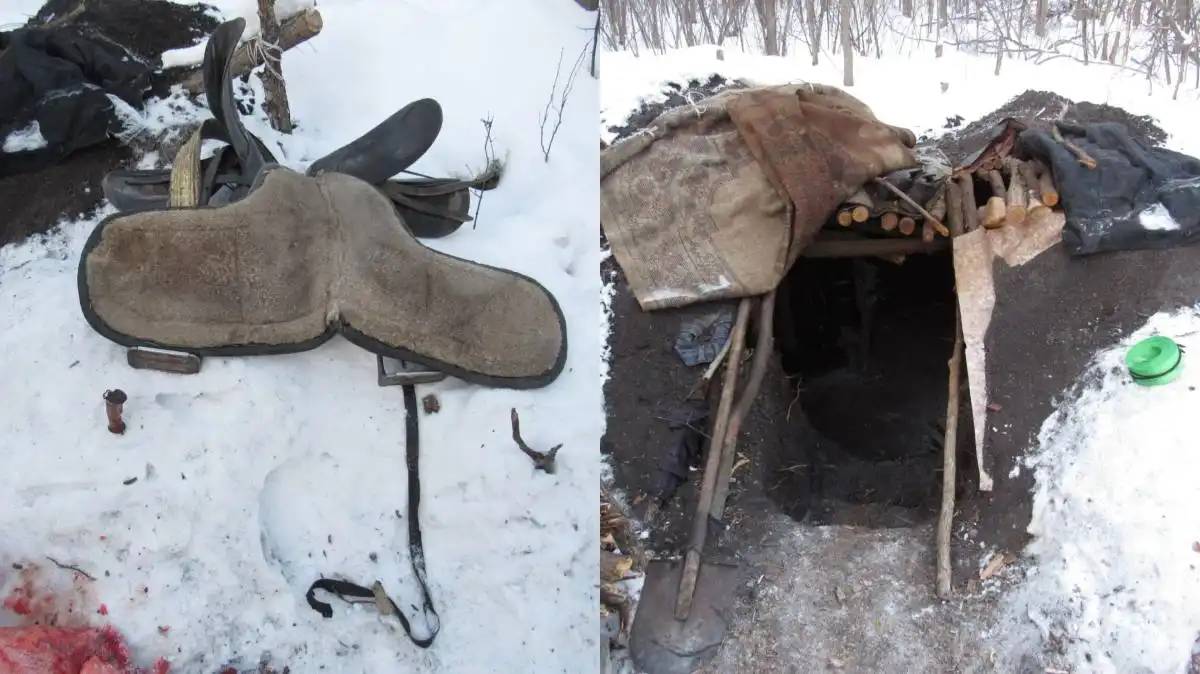 СҚО-да жылқы ұрлаған тұрғын орманда жасырынған