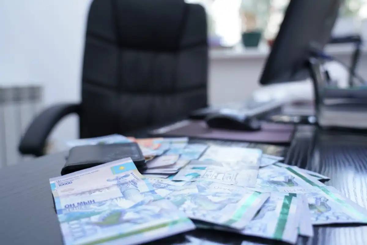 Аудандық мәслихаттың экс-депутаты жалған құжат арқылы субсидия алған