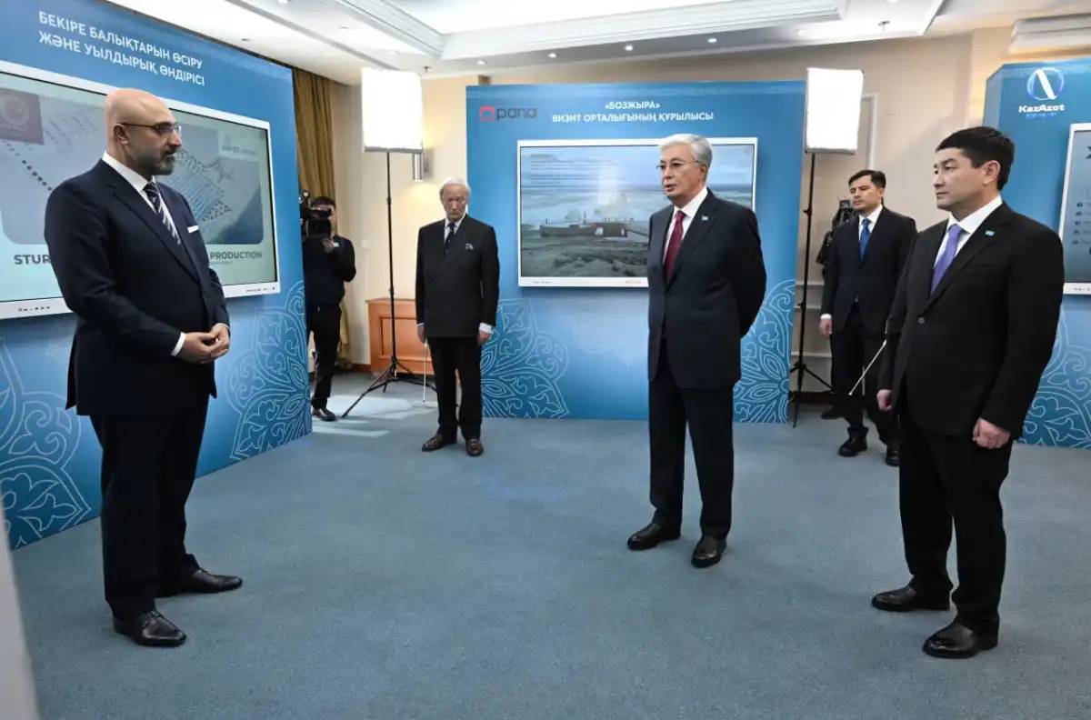Президентке Маңғыстаудағы инвестициялық жобалар таныстырылды
