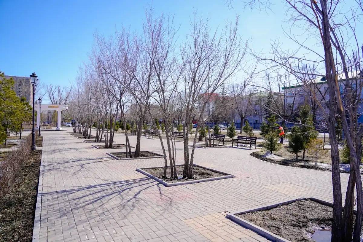 Биыл Астанада миллионға жуық жасыл желек отырғызу жоспарланып отыр