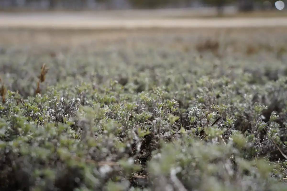 Алдағы күндері ауа райы қандай болады