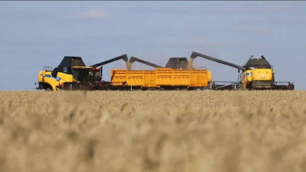 Президент Жолдауы – 2024: 2025 жылғы қаңтар-шілде айларында ауыл шаруашылығының жалпы өнім көлемі 3,7%-ға өсті