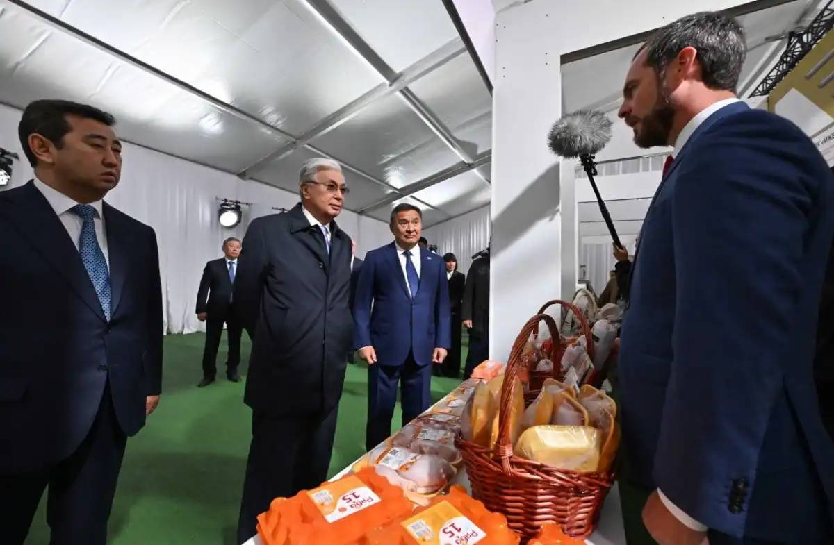 Президент: «Көкшетаудың балмұздағын сатып аламыз»