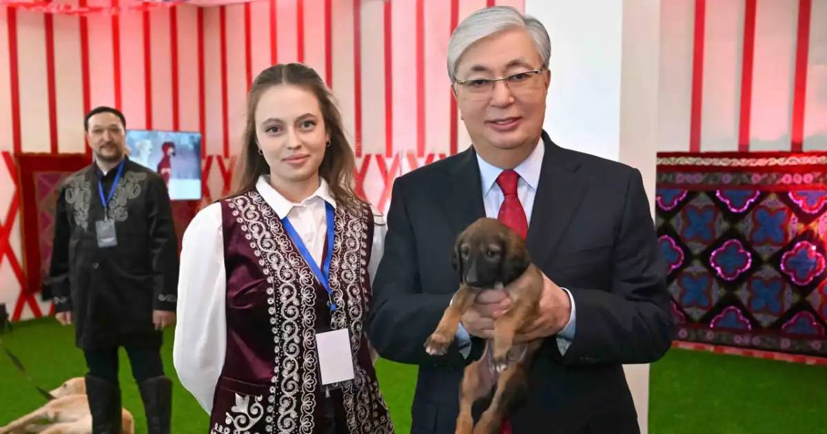 Тоқаев тазы мен төбетті кеңінен насихаттау жөнінде тапсырма берді