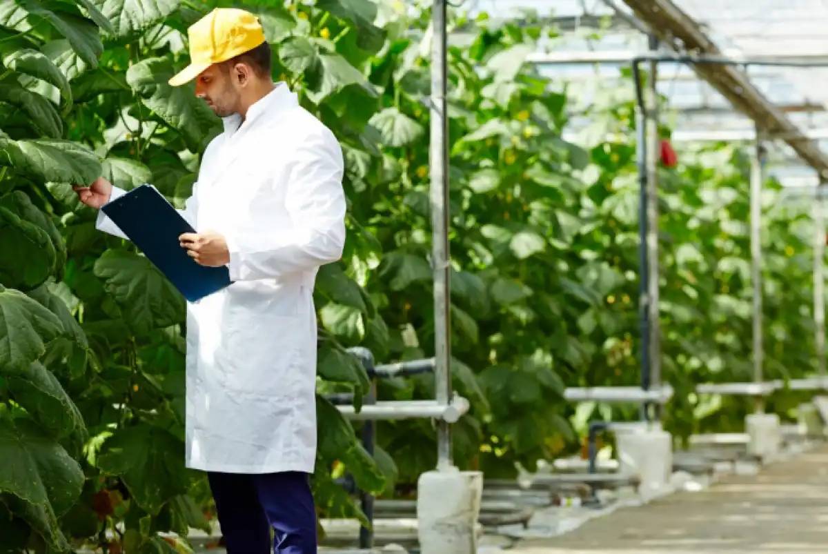 Агроөнеркәсіптік кешенде жұмыспен қамтамасыз ететін 285,5 мың өндіруші жұмыс істейді