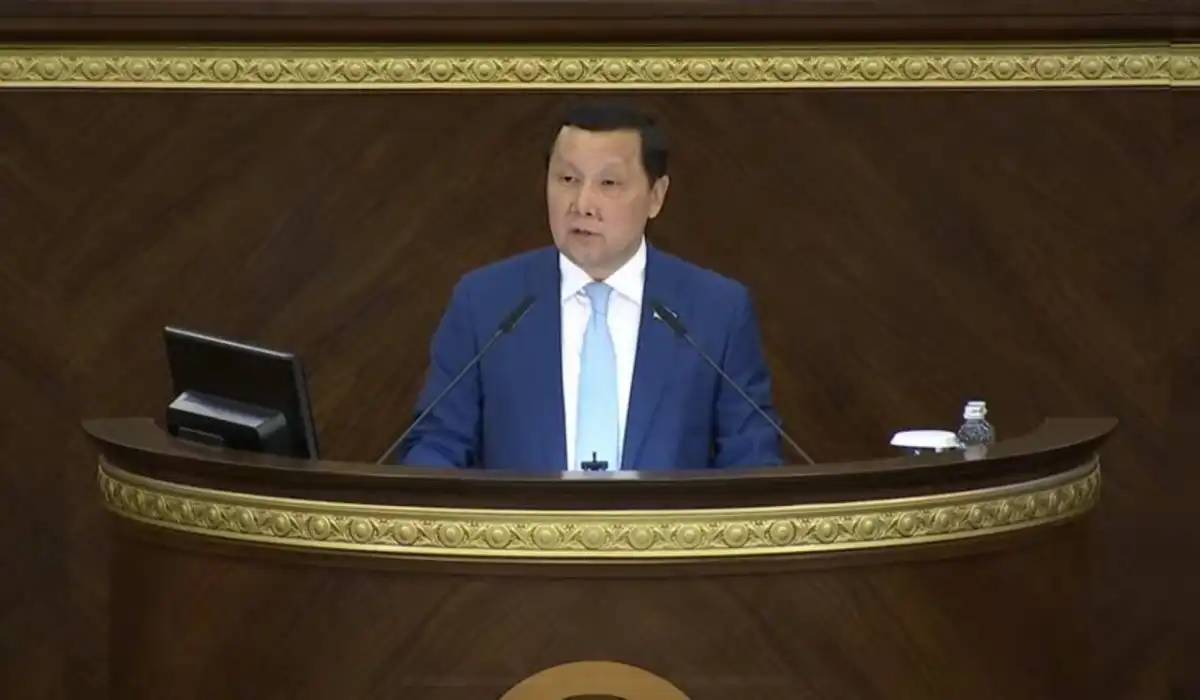 Конституцияның 30 жылдығына орай 15 мыңнан астам адамға рақымшылық жасалады