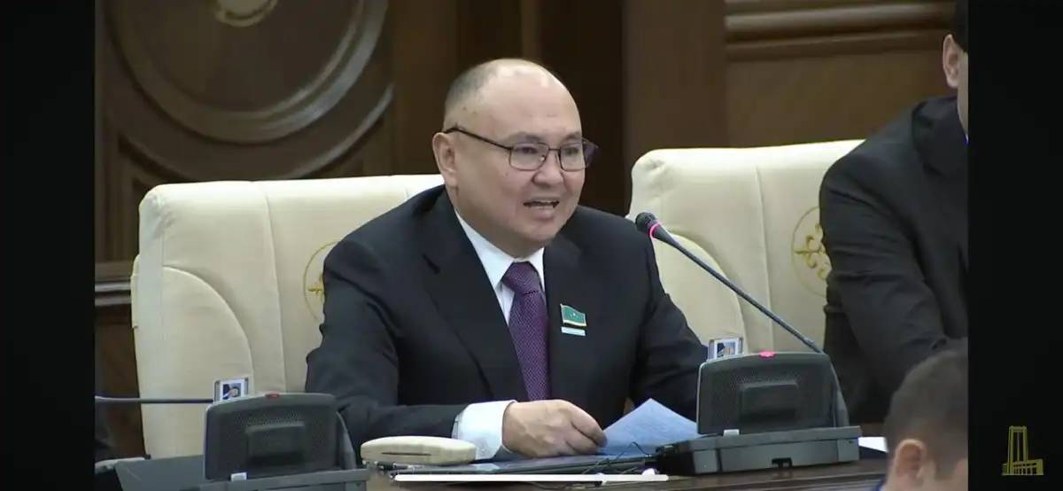 «Бос жатқан жер жау шақырады»: депутат Сайыров шекара маңындағы ауылдардың мәселесін көтерді