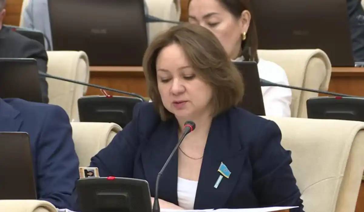 Сот орындаушы өзіне пайда әкелетін құжаттарды ғана орындауға тырысады – Снежанна Имашева