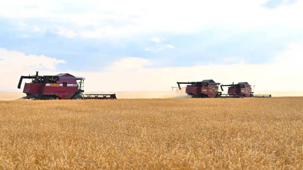 Үкімет еліміздің астық саласын қолдауға 40 млрд теңге бөлді