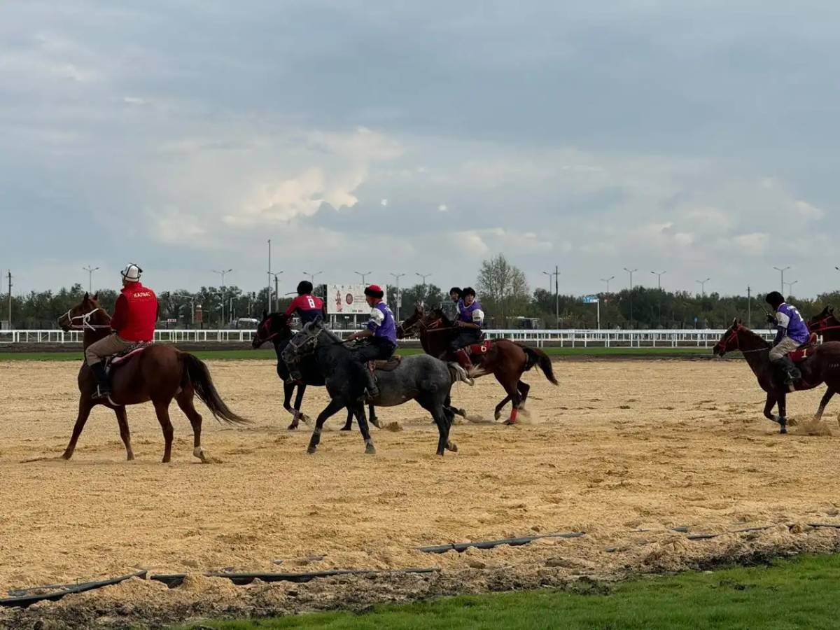 Дүниежүзілік көшпенділер ойыны: Ұлттық құрама аударыспақтан 5 алтын алды