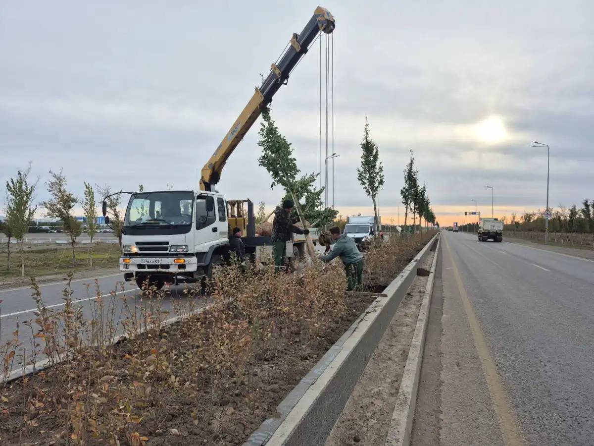 Астана айналма жолының бойында көгалдандыру жұмыстары жүргізіліп жатыр