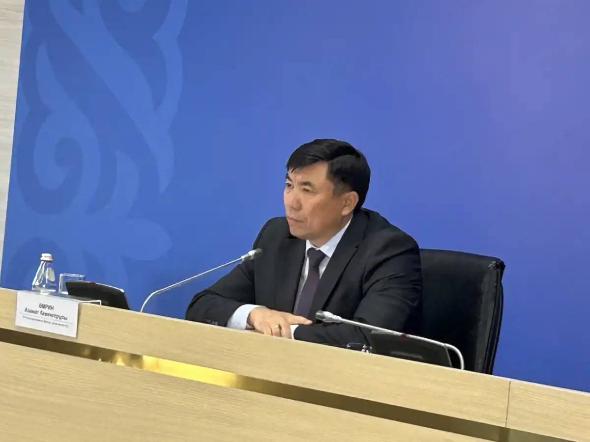 Жаңа жылдан кейін қымбатшылық бола ма: үкімет жауабы