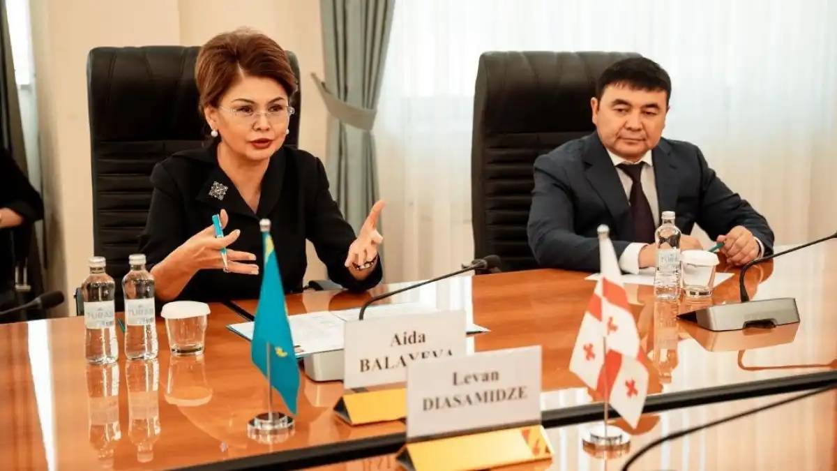 Қазақстан мен Грузия волонтерлік жобалар мен кинофильмдер алмасуды жоспарлап отыр