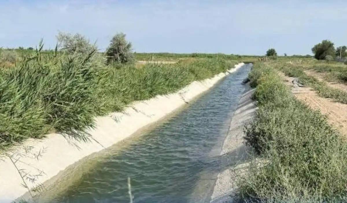 25 мың гектар егістікті сумен қамтамасыз ету: Жетісу облысында каналдар реконструкцияланып жатыр