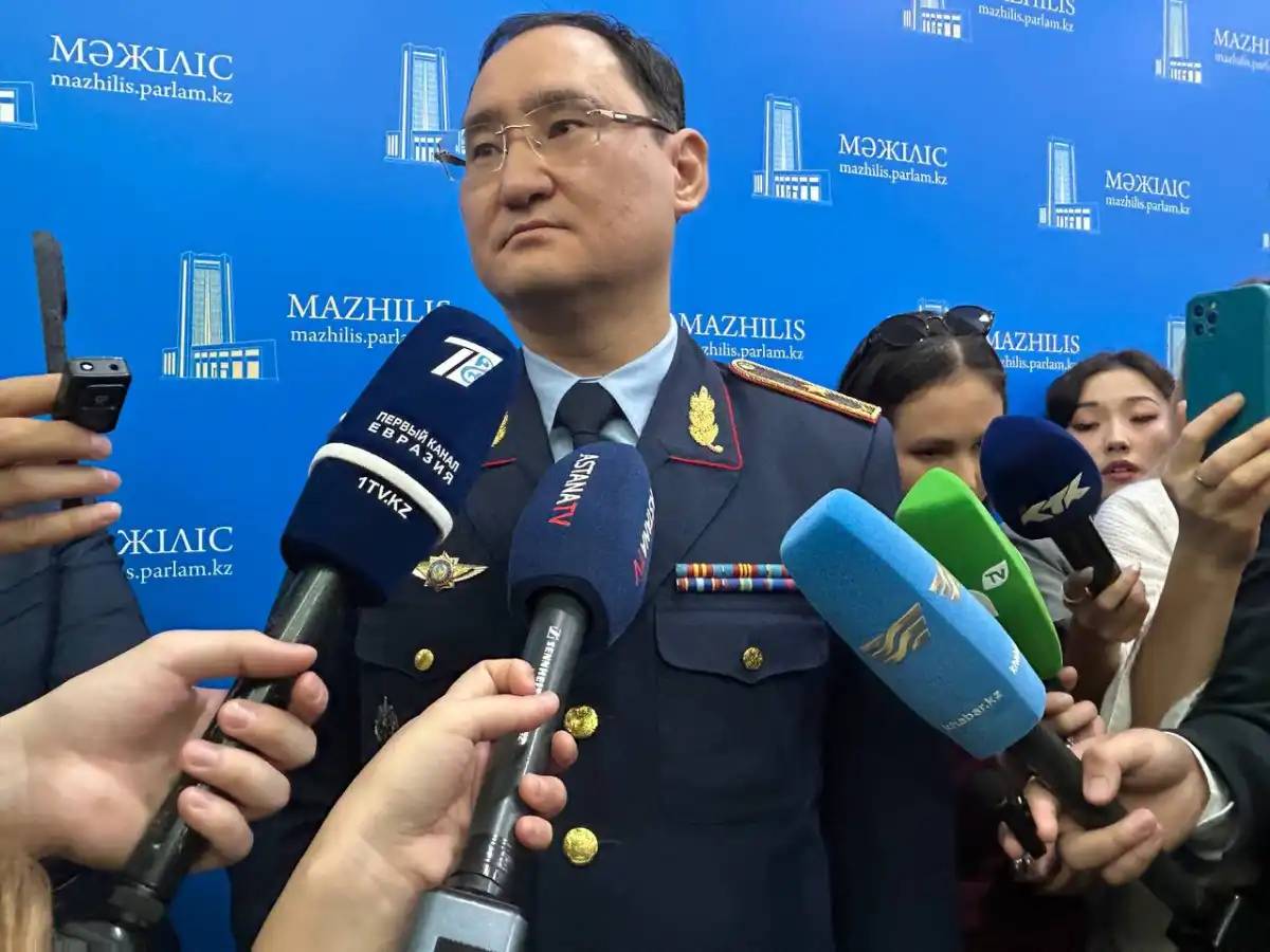 Желіде футбол билетін сатқан: Сәкен Майғазиев пен Нұрлан Еспановтың ұлдарын полиция тексеруі мүмкін