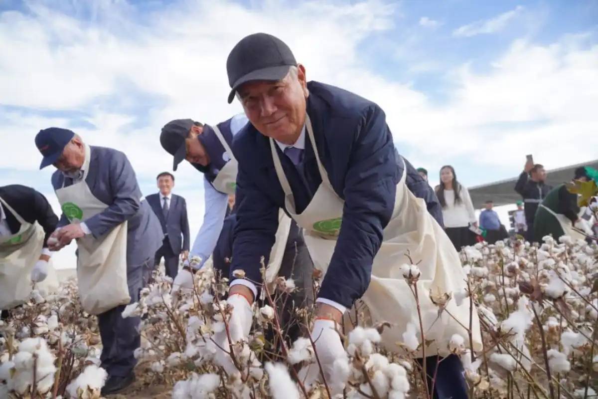 Түркістан облысында AQ-DALA мақташылар фестивалі өтті