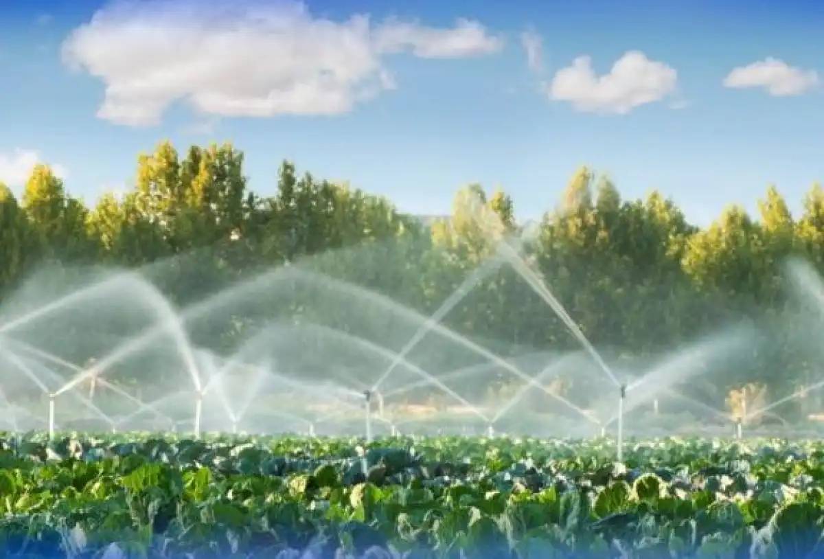 Су үнемдеу технологиялары пайдаланылатын егіс алқабының аумағы 86%-ға ұлғайды
