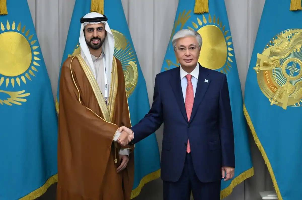 Президент БАӘ ЖИ мәселелері жөніндегі мемлекеттік министрімен кездесті