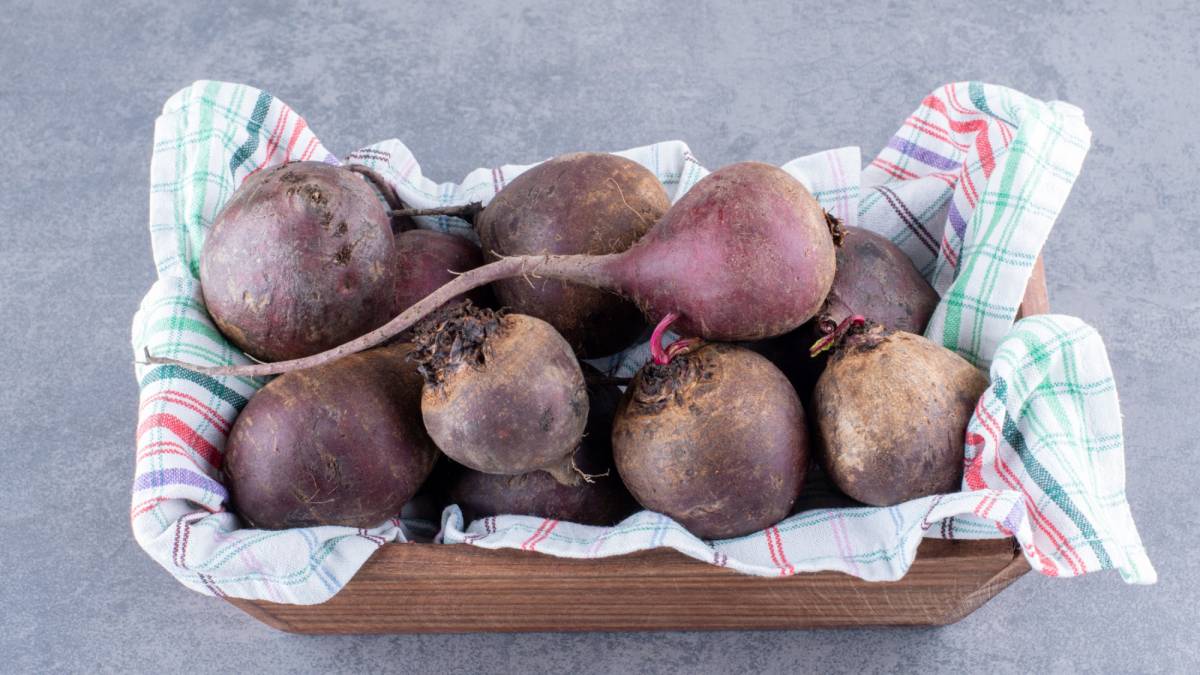 Үкіметте қант қызылшасын қабылдау және өңдеу жоспарлары айтылды