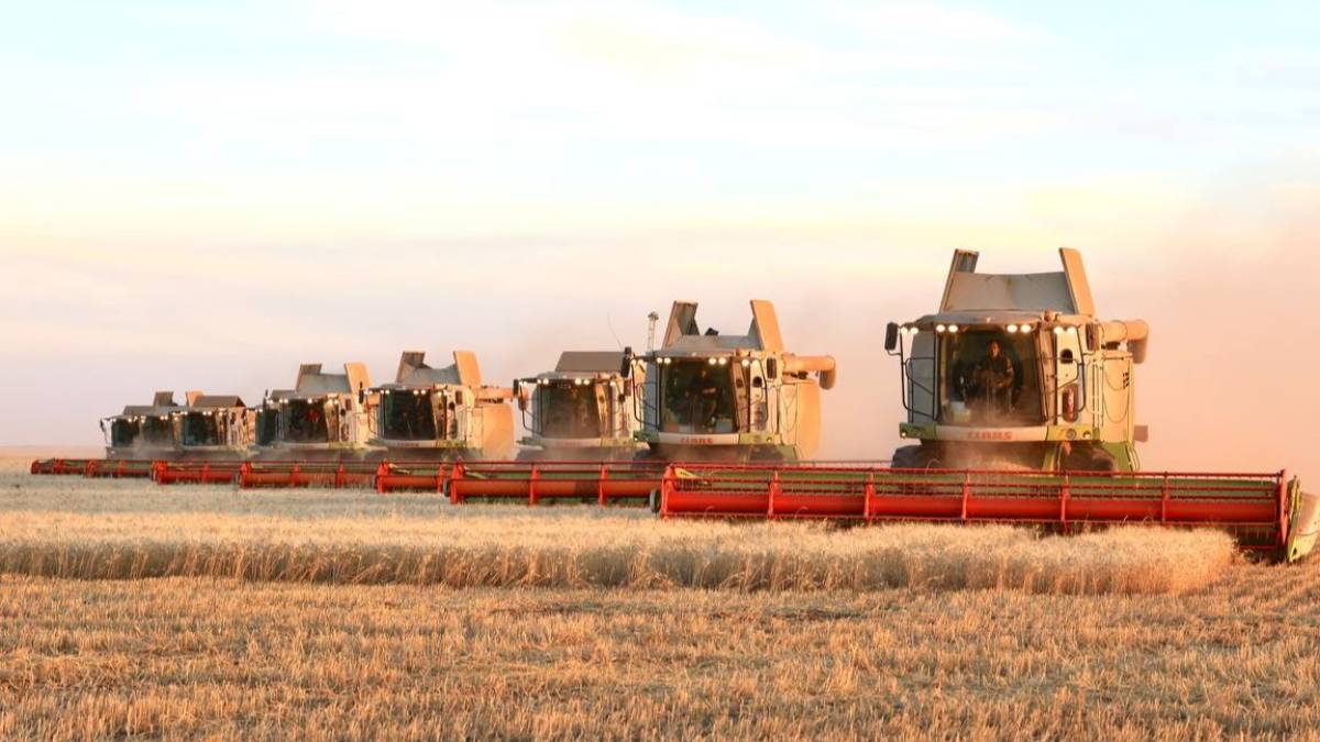 Елде дәнді дақылдарды жинау толық аяқталды — министр
