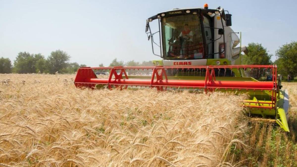 Биыл елімізде рекордтық астық жиналды – министрлік