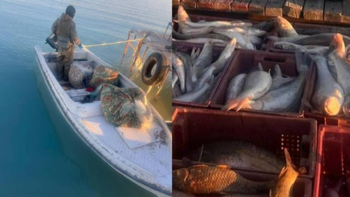 Балқаш көлінде 250 келі балықты заңсыз аулаған браконьерлер ұсталды