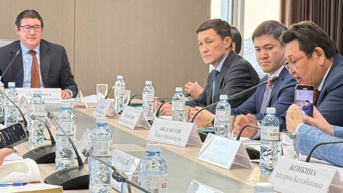 Қазақстандағы алғашқы АЭС-тің атауы белгілі болды